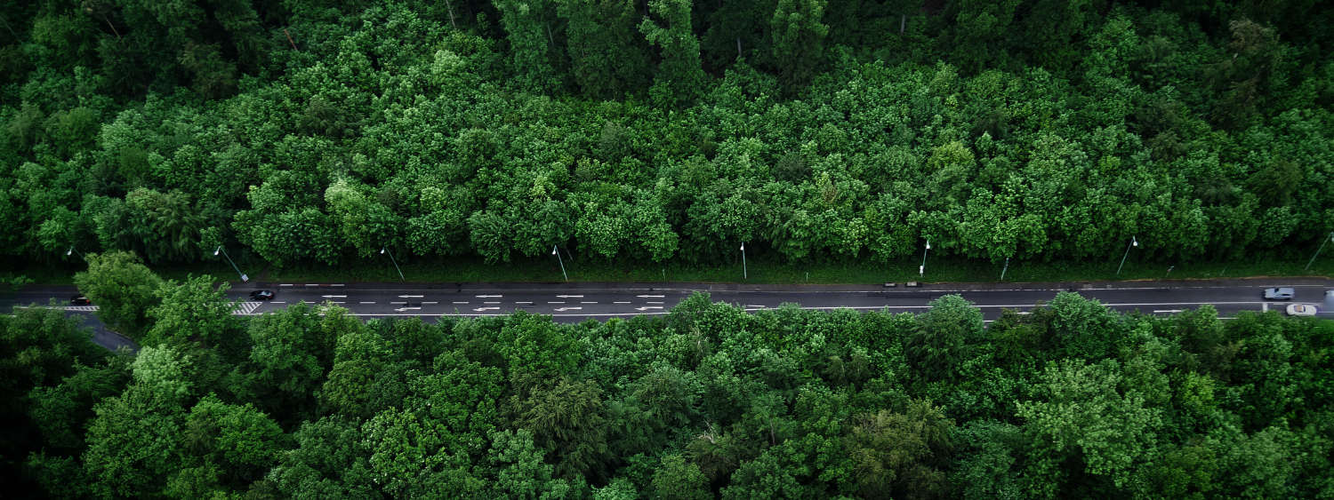 Greener Choices for You and Your Business